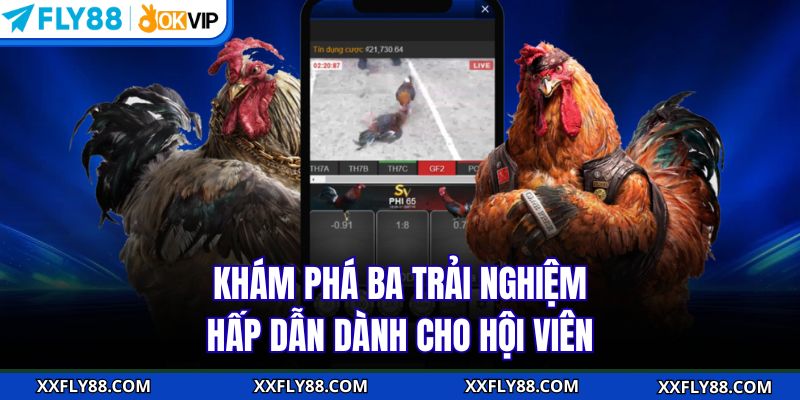 Khám phá ba trải nghiệm hấp dẫn dành cho hội viên